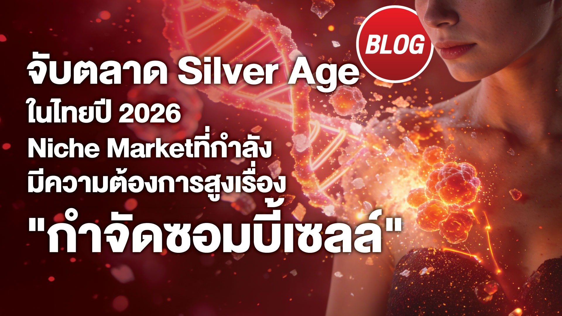 จับตลาด Silver Age ในไทยปี 2026 Niche Market ที่กำลังมีความต้องการสูงเรื่อง 