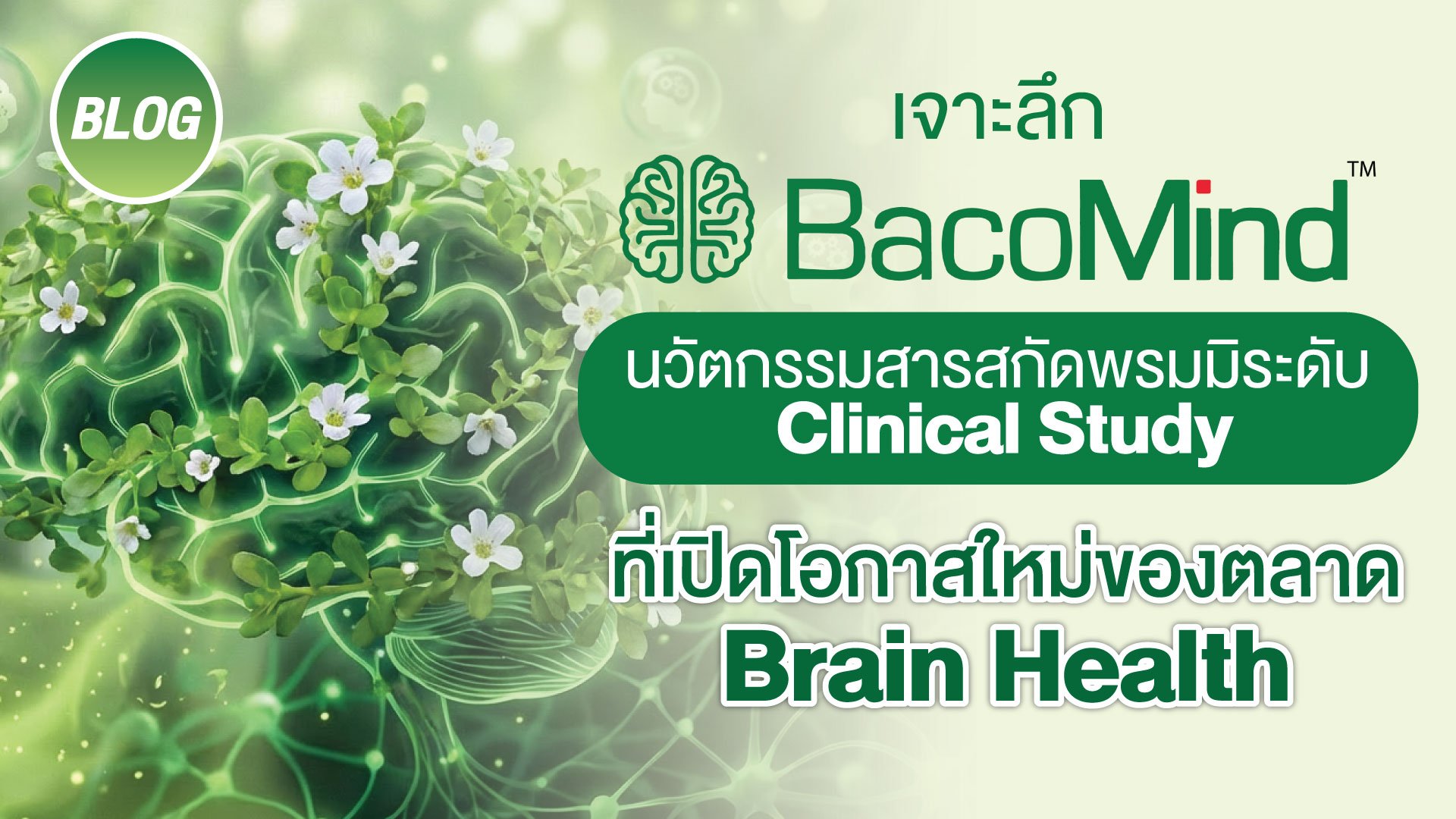 เจาะลึก&nbsp;BacoMind&nbsp;นวัตกรรมสารสกัดพรมมิระดับ&nbsp;Clinical Study&nbsp;ที่เปิดโอกาสใหม่ของตลาด&nbsp;Brain Health