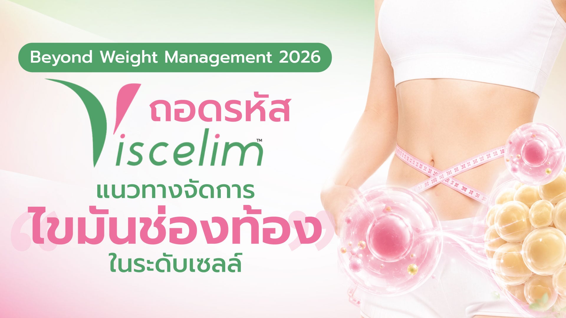 Beyond Weight Management 2026 ถอดรหัส VISCELIM แนวทางจัดการ “ไขมันหน้าท้อง” ในระดับเซลล์